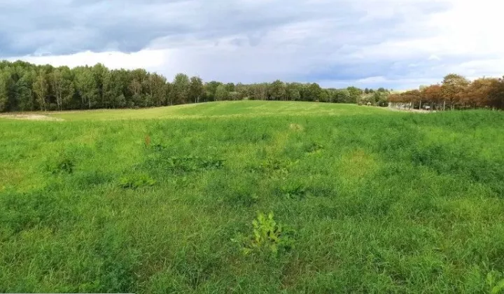 Działka rolno-budowlana Żerdziny