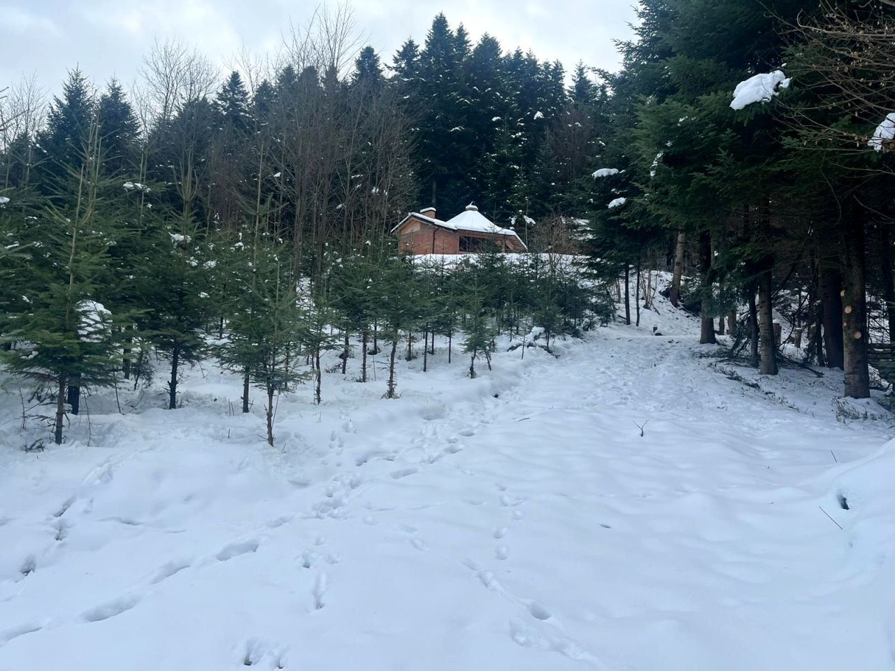 dom wolnostojący, 3 pokoje Królowa Górna. Zdjęcie 9