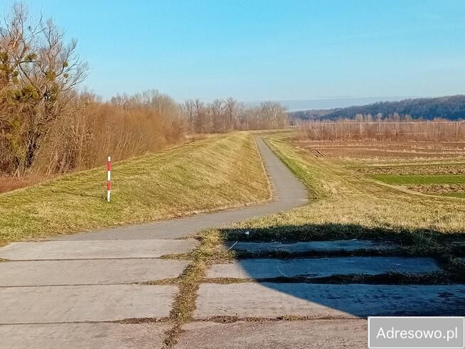 Działka rolna Parchatka. Zdjęcie 7