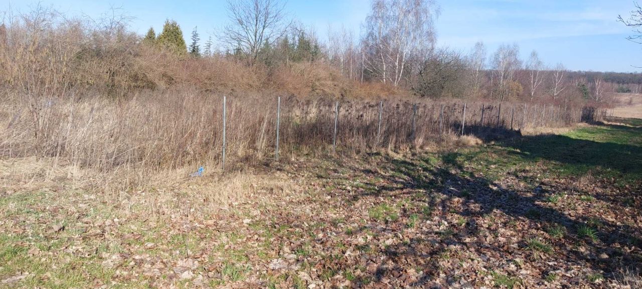 Działka budowlana Wiączyń Dolny. Zdjęcie 2