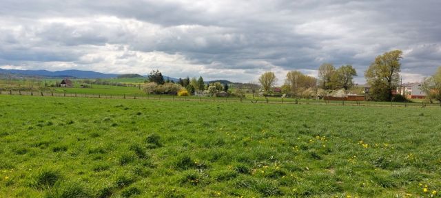 Działka budowlana Piława Górna. Zdjęcie 1