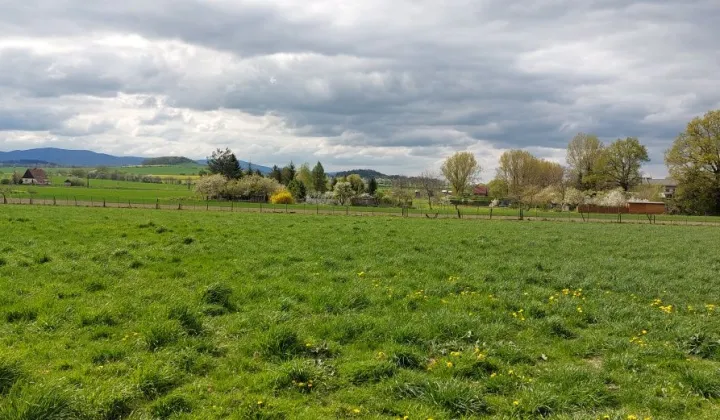 Działka budowlana Piława Górna