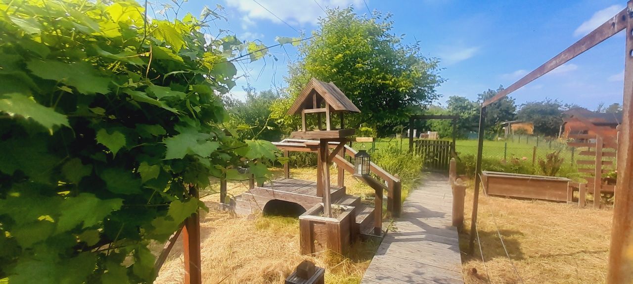 Działka rod Oława. Zdjęcie 4