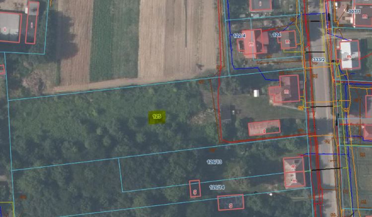dom wolnostojący, 5 pokoi Drzewce-Kolonia, Drzewce-Kolonia. Zdjęcie 8