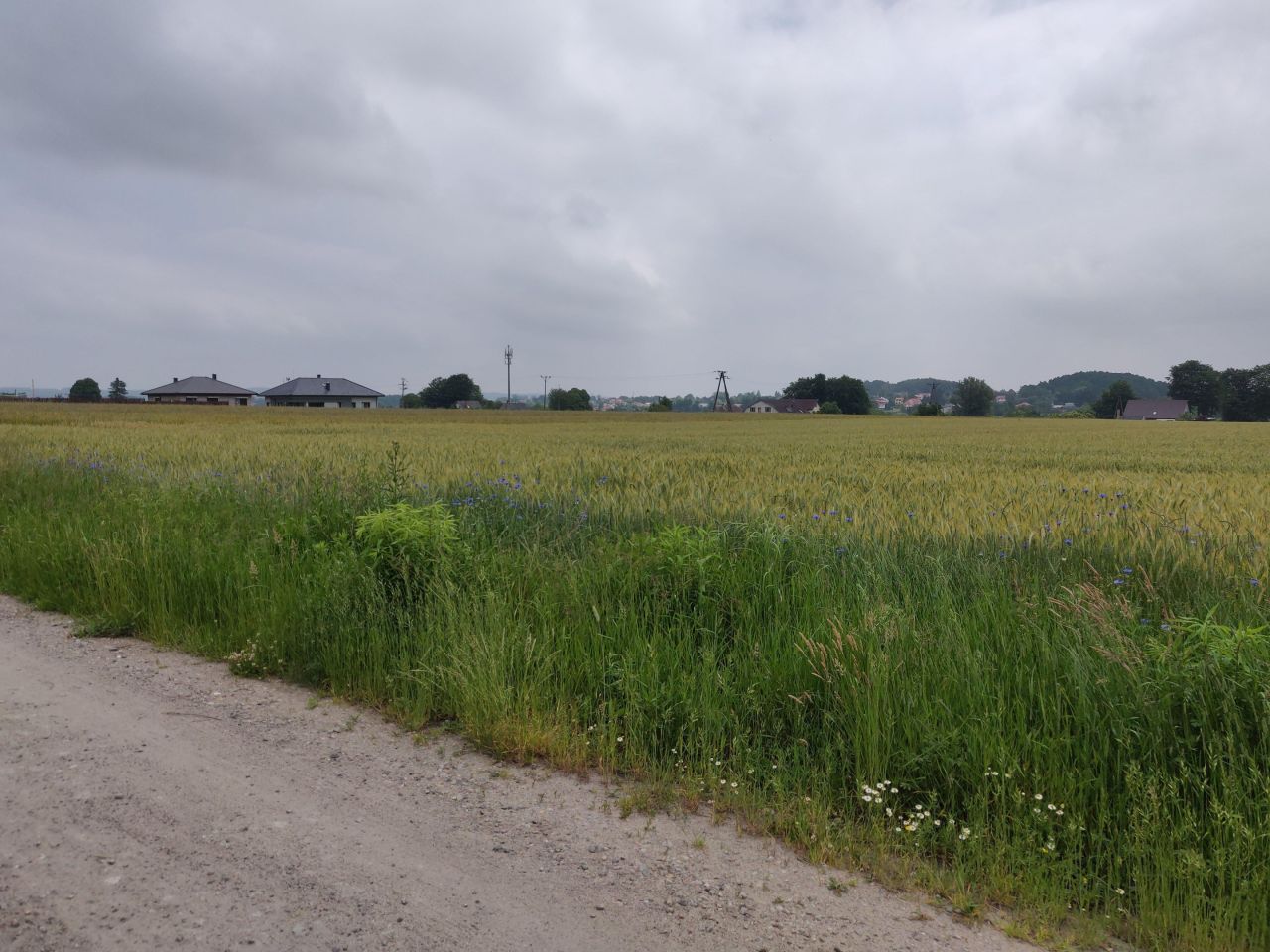 Działka budowlana Koszalin Sarzyno, ul. Na Wilkowo. Zdjęcie 6