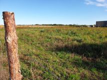 Działka rolno-budowlana Lisewo. Zdjęcie 1