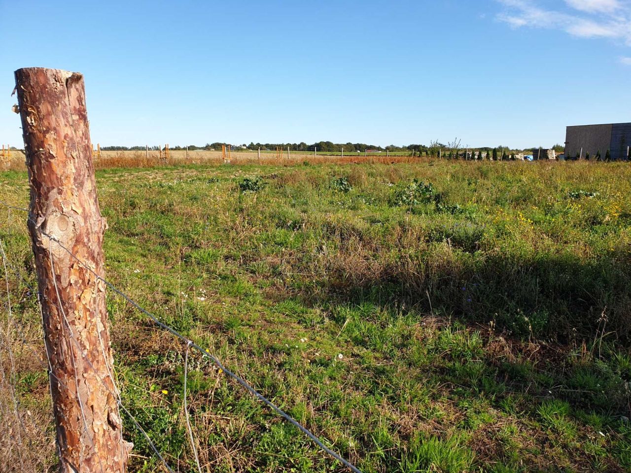 Działka rolno-budowlana Lisewo. Zdjęcie 2