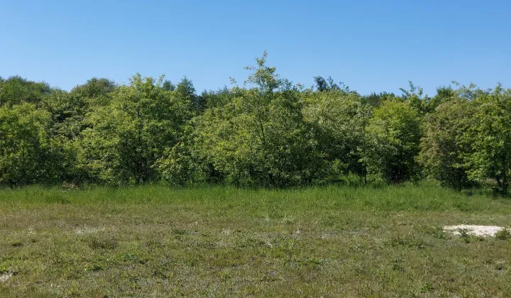 Działka rolno-budowlana Wymysłów, ul. Piekarska