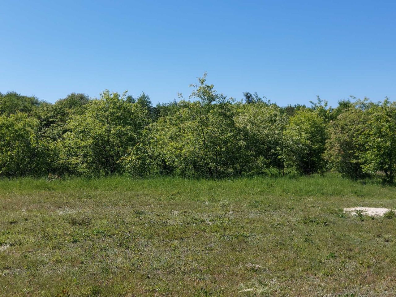 Działka rolno-budowlana Wymysłów, ul. Piekarska. Zdjęcie 1