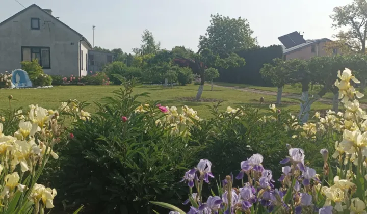 dom wolnostojący, 2 pokoje Parczew, ul. Adama Mickiewicza