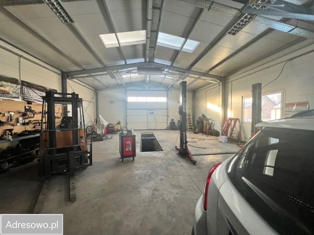 Hala/magazyn Żytno, ul. Konopnickiej. Zdjęcie 4