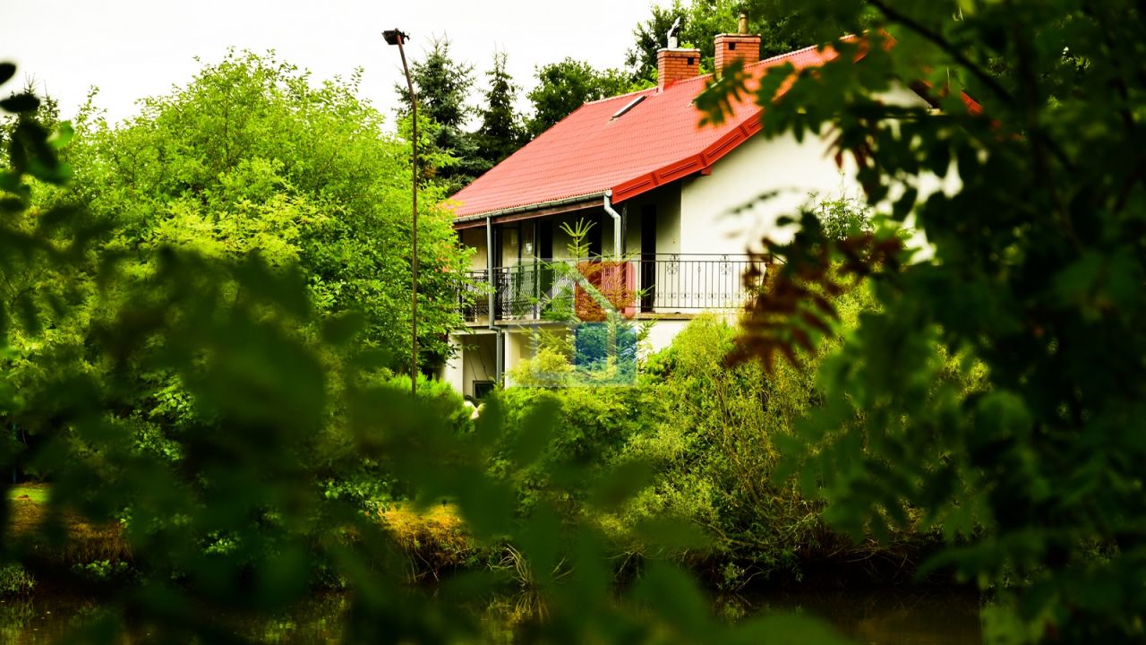 gospodarstwo, 17 pokoi Holendry Dobrowskie. Zdjęcie 2