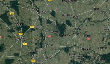siedlisko Rogów