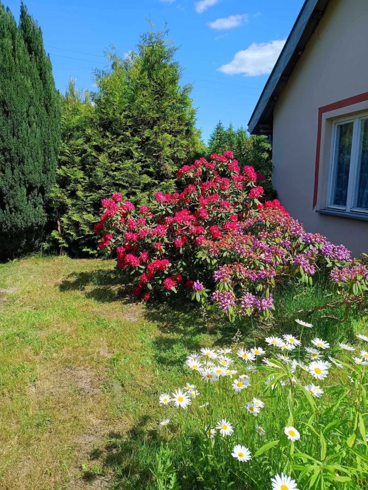 siedlisko Łochów. Zdjęcie 2