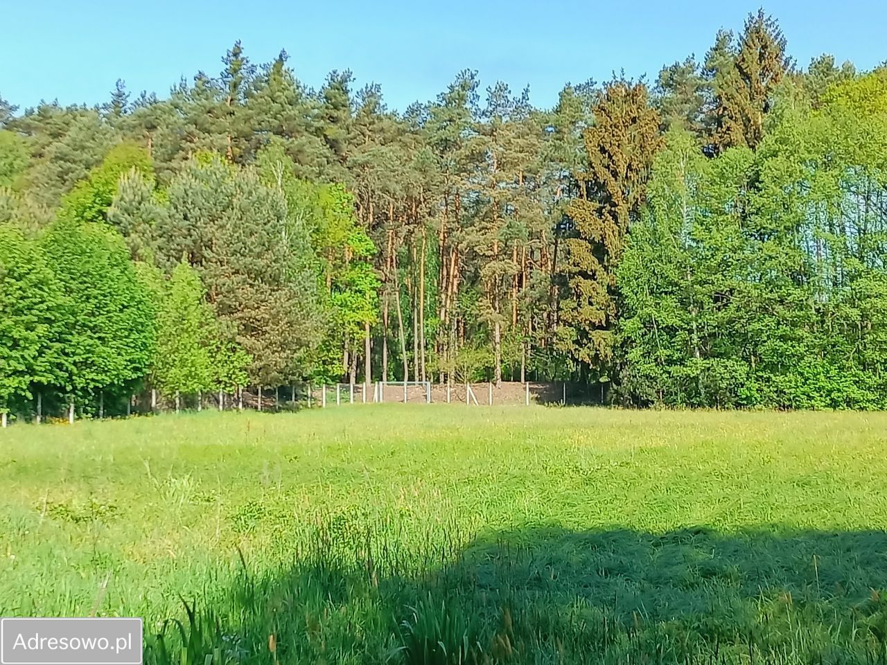 Działka Stara Wieś. Zdjęcie 14