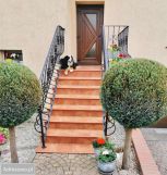 dom wolnostojący, 6 pokoi Połczyn-Zdrój, ul. Polna. Zdjęcie 3