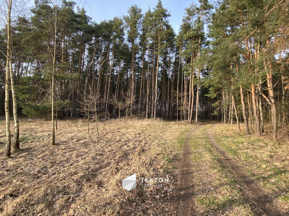 Działka budowlana Starowola, ul. Nadrzeczna. Zdjęcie 11