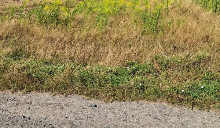 Działka budowlana Parczew, ul. Apolinarego Nosalskiego