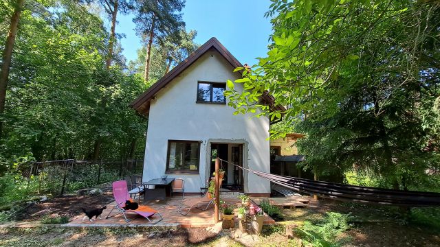 dom wolnostojący, 4 pokoje Zalesie Górne, ul. Przebudzenia Wiosny. Zdjęcie 1