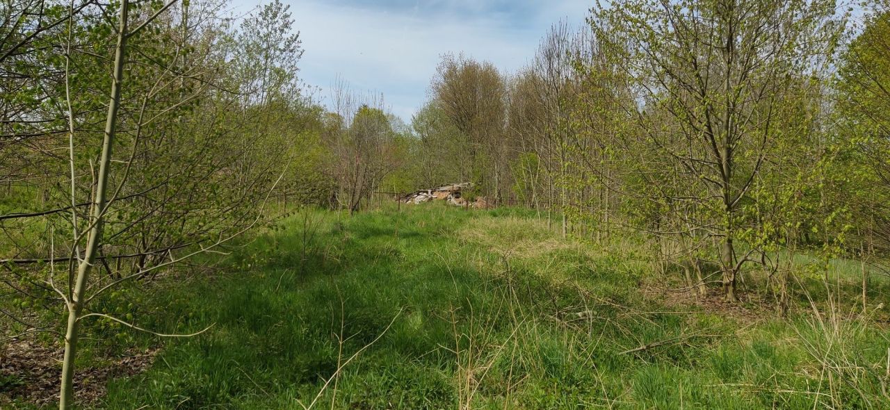 Działka budowlana Kaźmierzów. Zdjęcie 6