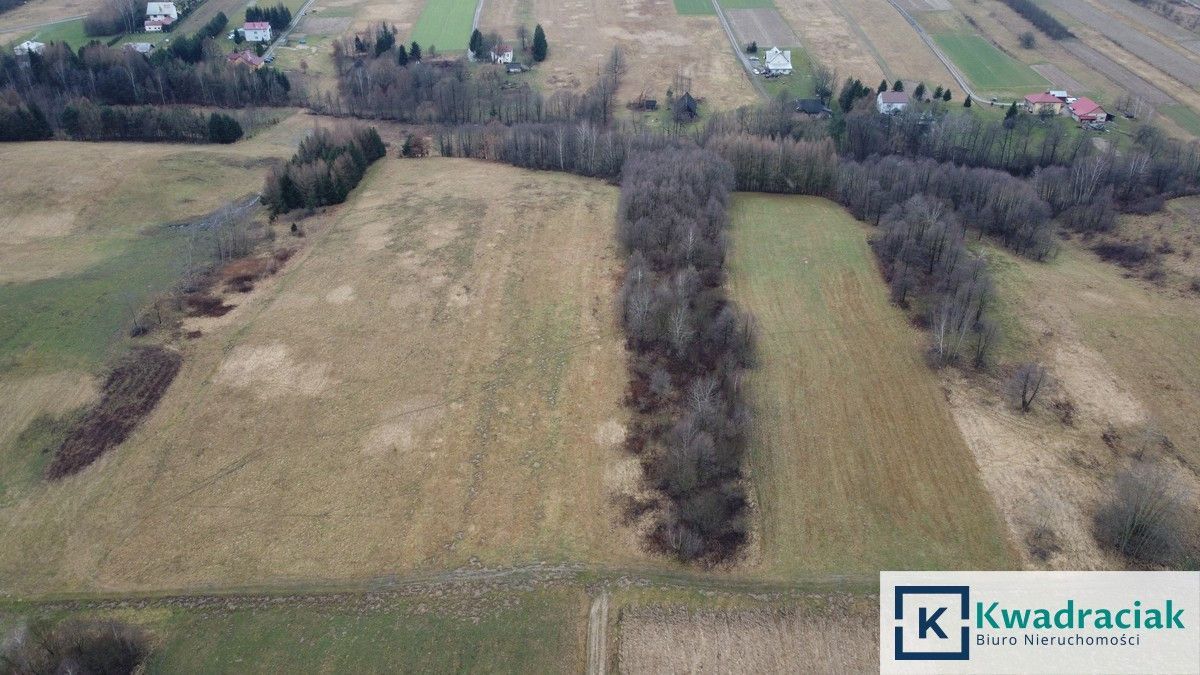 Działka rolna Stara Wieś Budy. Zdjęcie 5