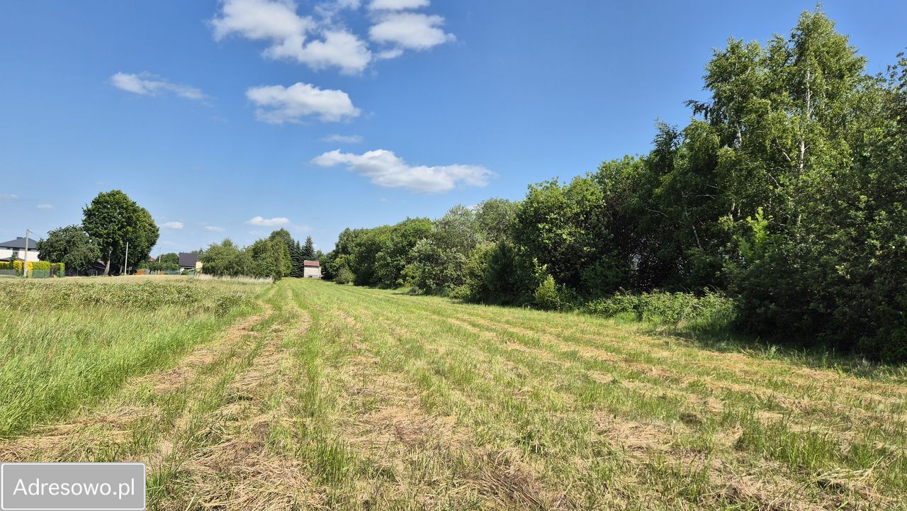 Działka rolno-budowlana Smardzowice. Zdjęcie 8