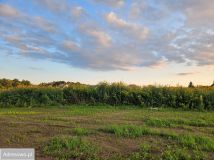 Działka budowlana Długołęka, ul. Chabrowa. Zdjęcie 3