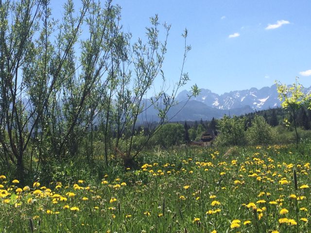 Działka budowlana Jurgów, .. Zdjęcie 4