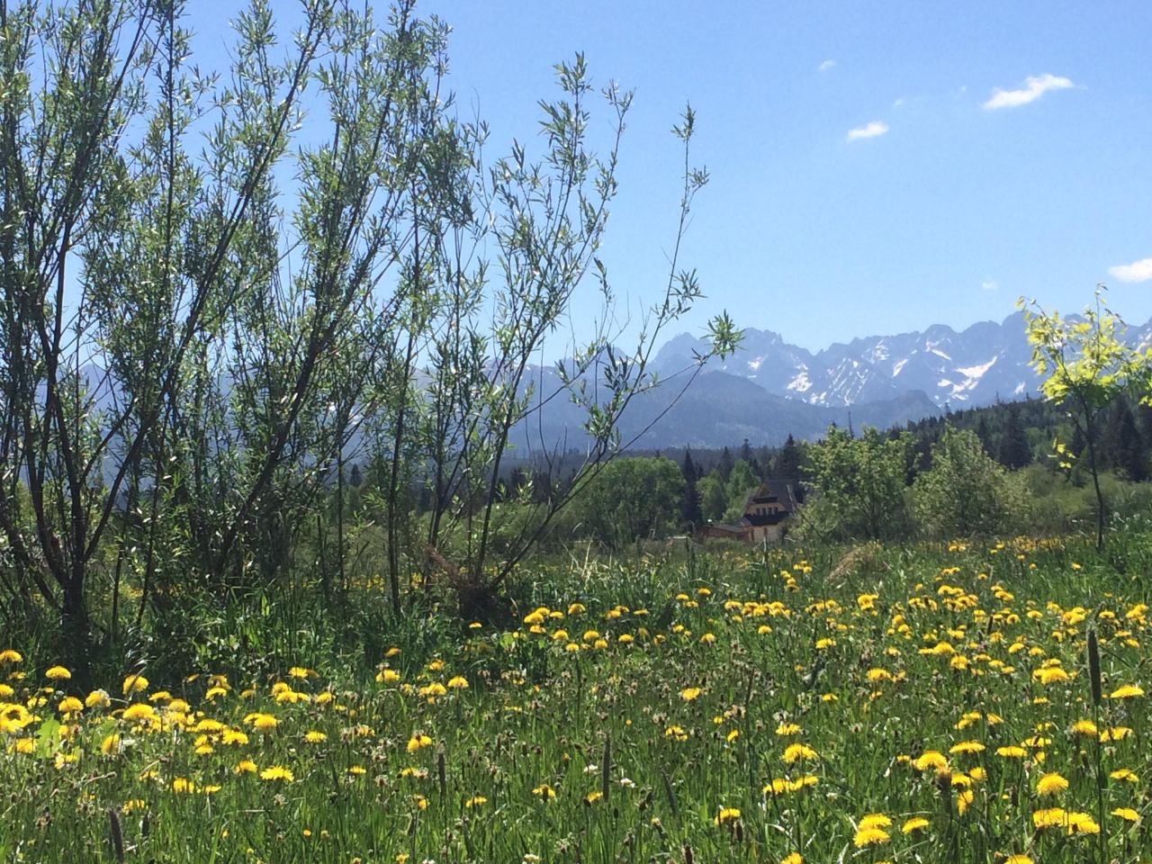 Działka budowlana Jurgów, .. Zdjęcie 4