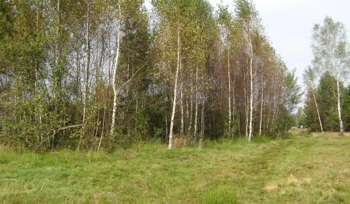 Działka rolna Białebłoto-Kurza