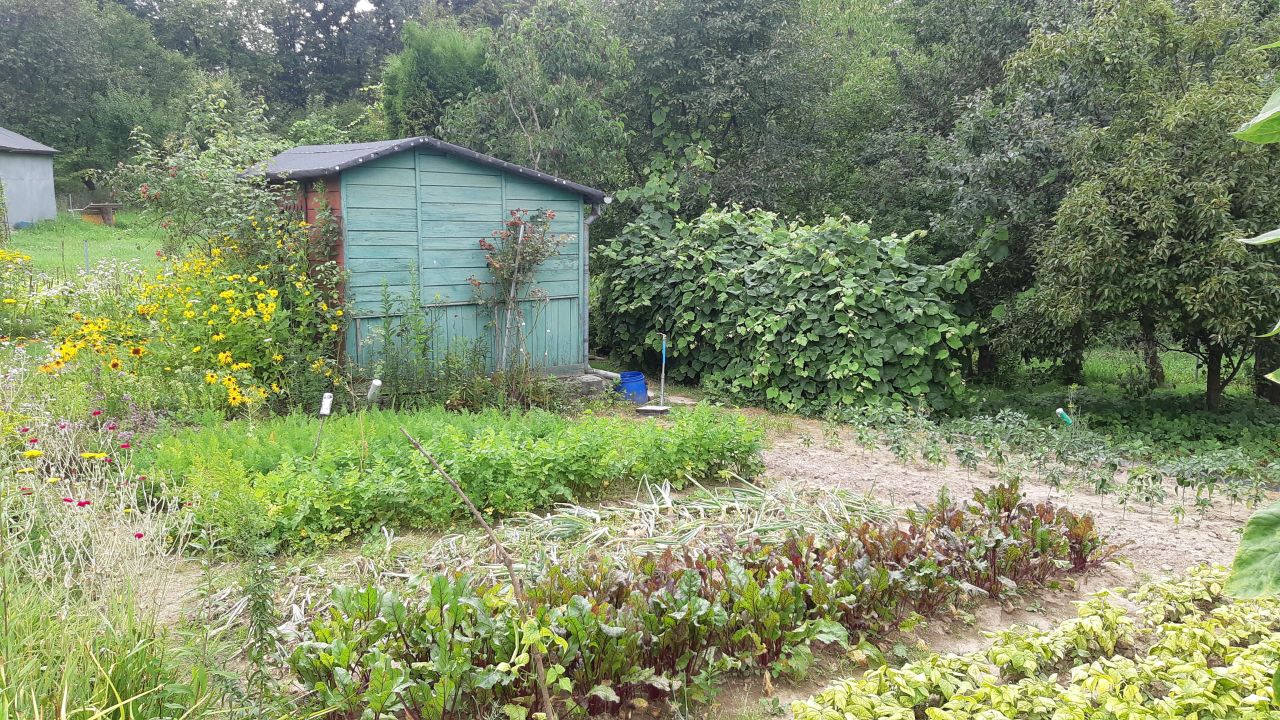 Działka rod Lublin Zimne Doły, ul. Wojciechowska. Zdjęcie 2