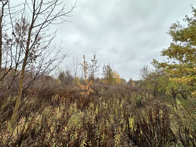 Działka rolna Sochaczew, ul. Rozlazłowska. Zdjęcie 3