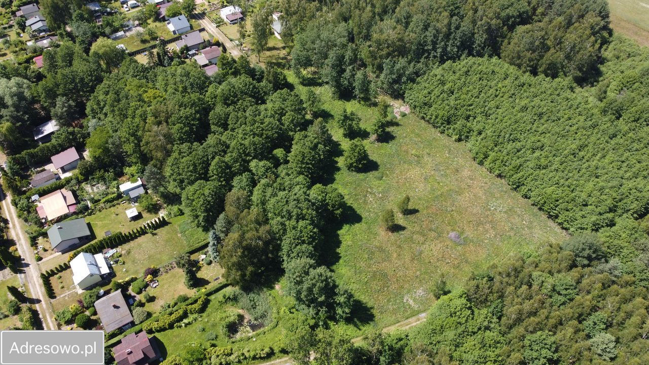 Działka budowlana Chojne. Zdjęcie 15