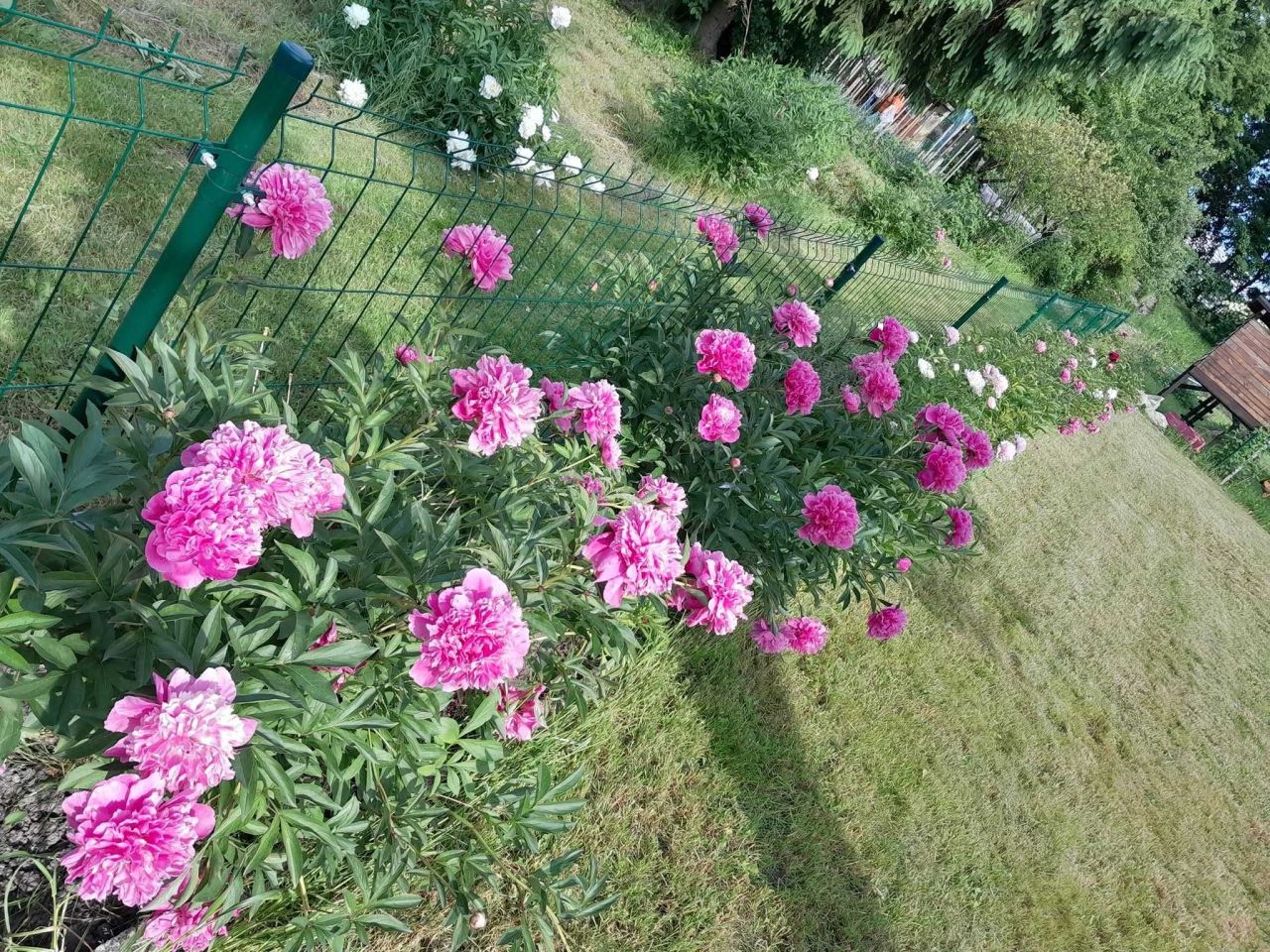 Działka rod Lublin. Zdjęcie 3