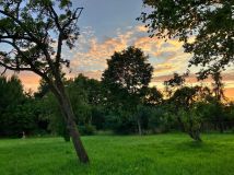 Działka rolno-budowlana Czysta. Zdjęcie 1