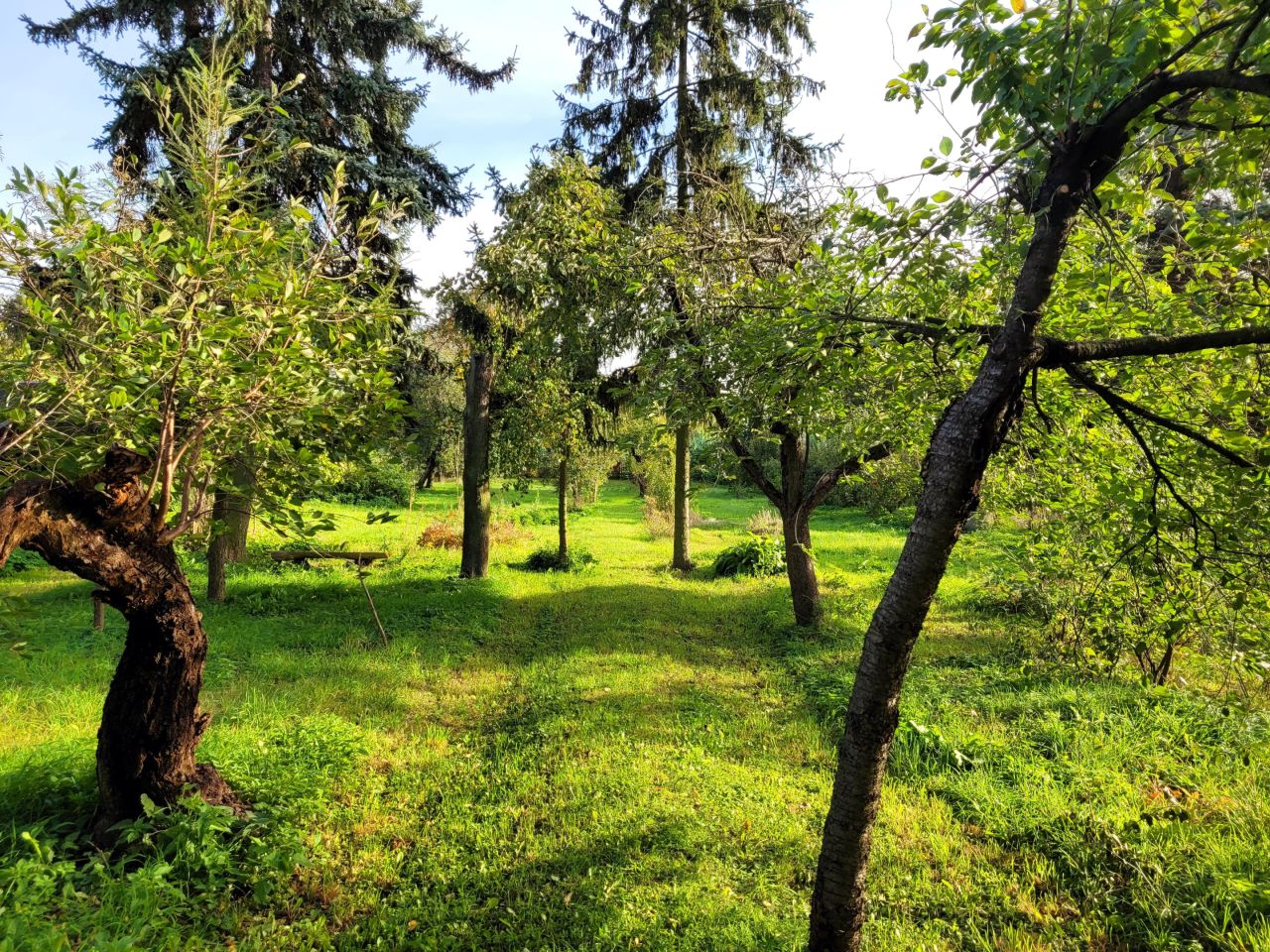 dom wolnostojący, 6 pokoi Witkowo, ul. Warszawska. Zdjęcie 40