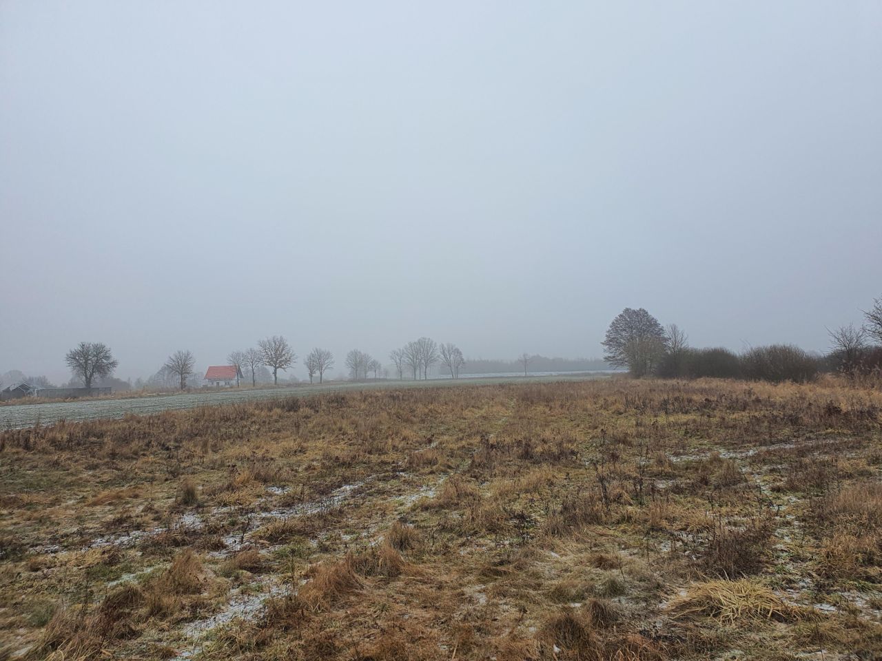 Działka rolno-budowlana Żenichów. Zdjęcie 7