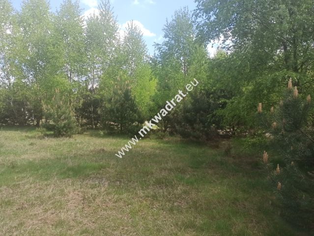 Działka budowlana Kuklówka Radziejowicka. Zdjęcie 5