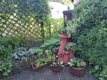 Działka rod Zabrze Biskupice, ul. Wojciecha Drzymały. Zdjęcie 4