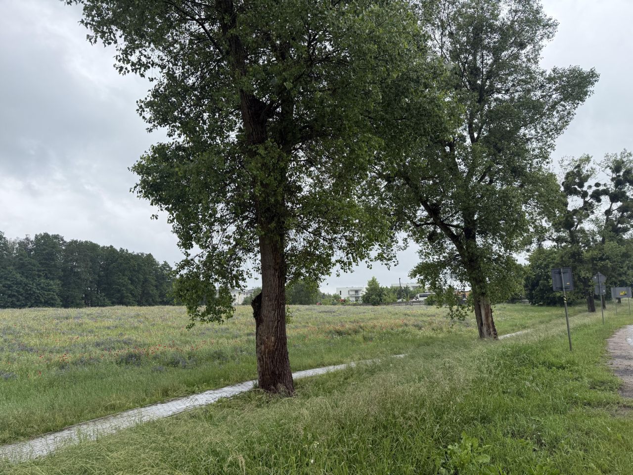 Działka budowlana Olsztynek, ul. Władysława Jagiełły. Zdjęcie 5