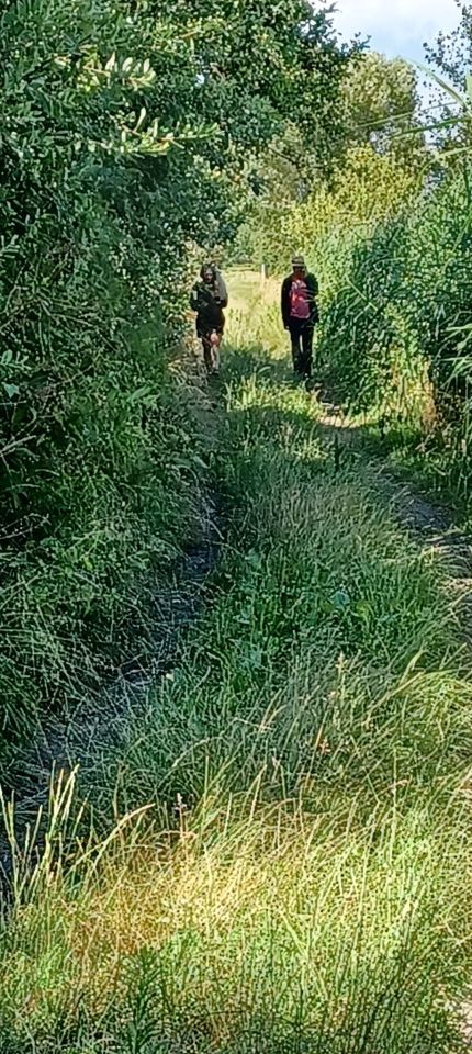 Działka budowlana Orzechów-Kolonia. Zdjęcie 4