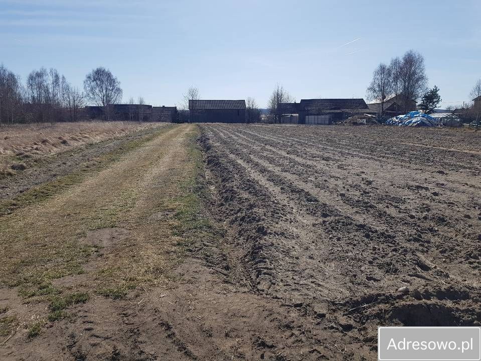 Działka siedliskowa Zaborowice. Zdjęcie 11