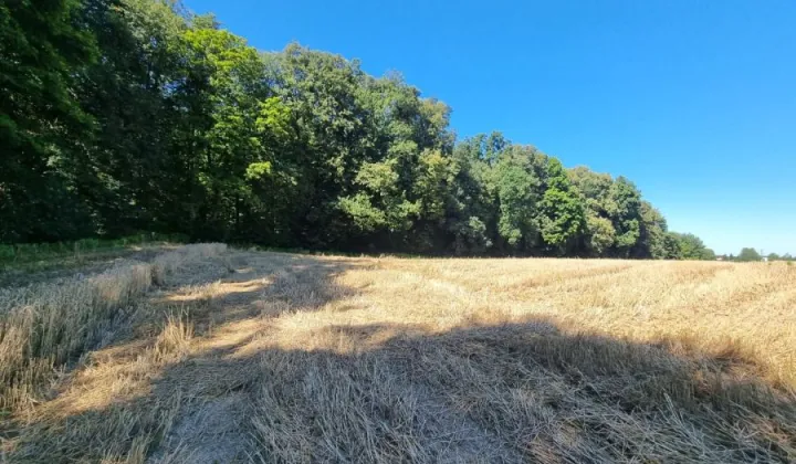 Działka inwestycyjna Kwidzyn