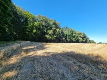 Działka inwestycyjna Kwidzyn