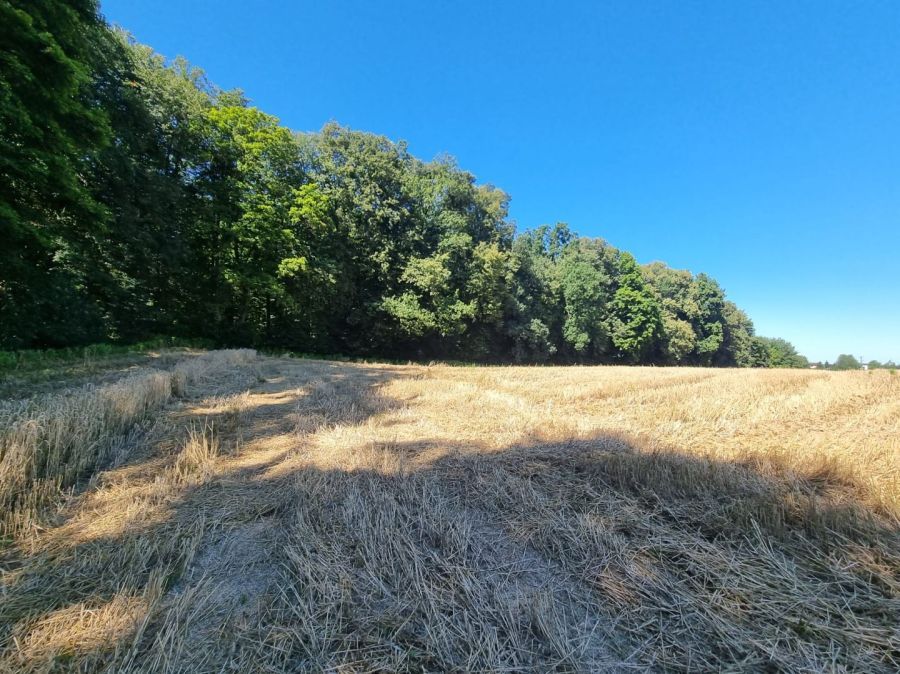 Działka inwestycyjna Kwidzyn