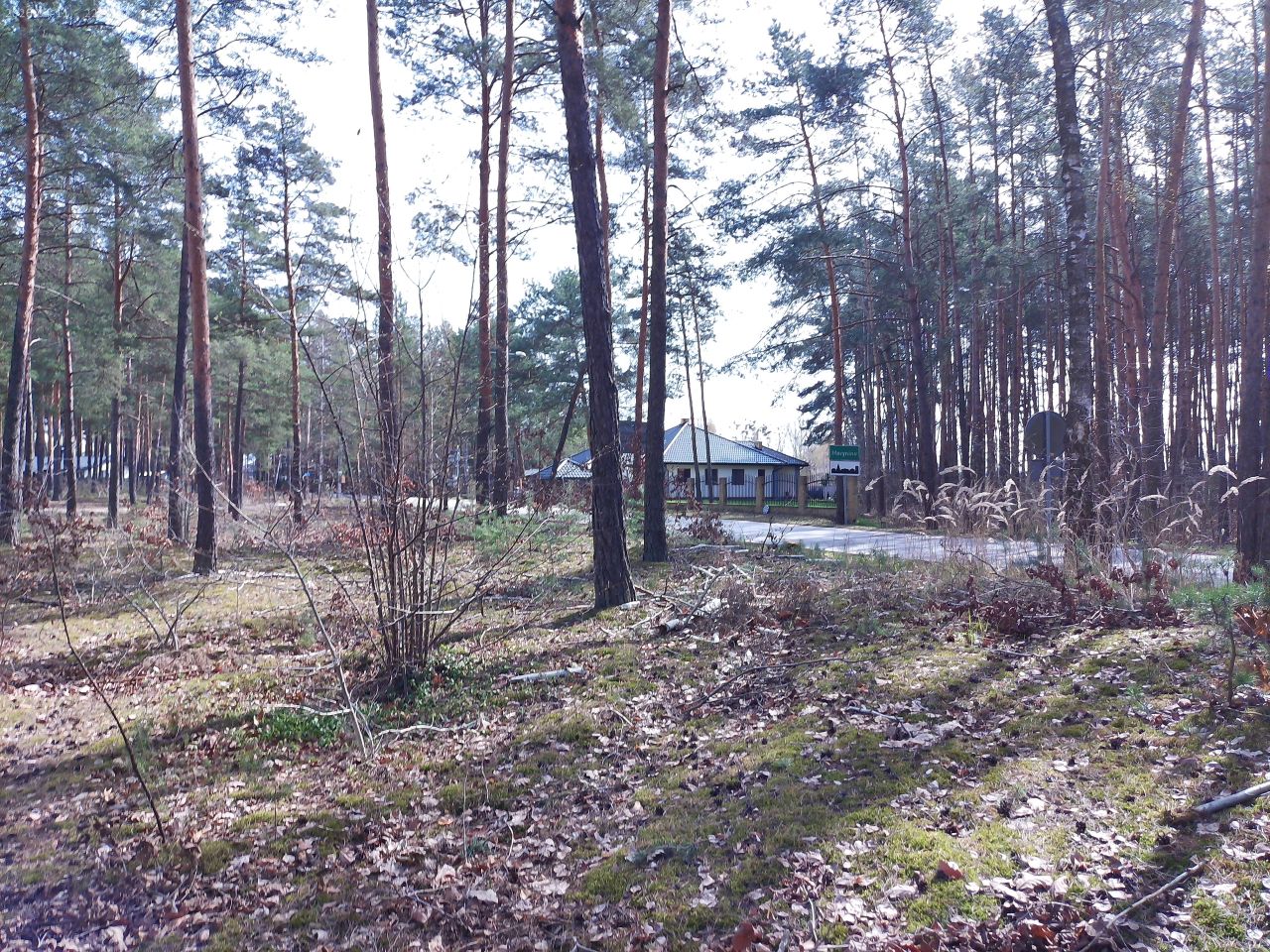 Działka budowlana Marynino, Sosnowa. Zdjęcie 40