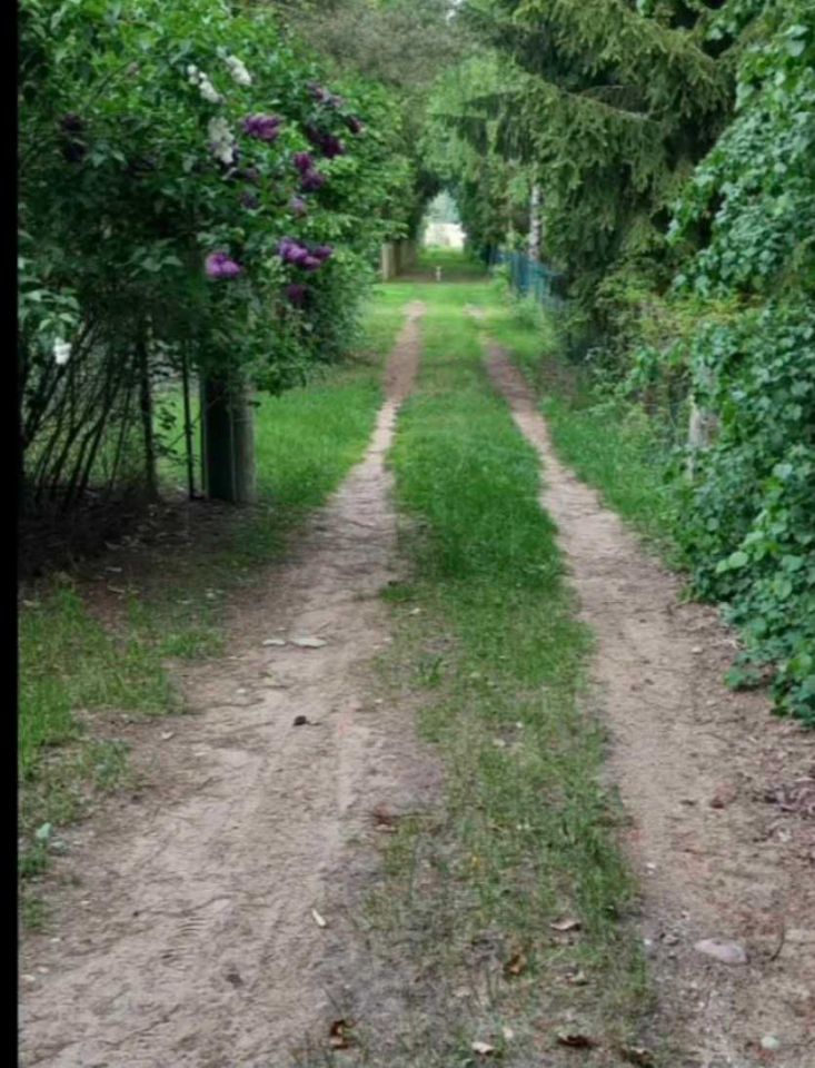 Działka rekreacyjna Pilchy. Zdjęcie 2