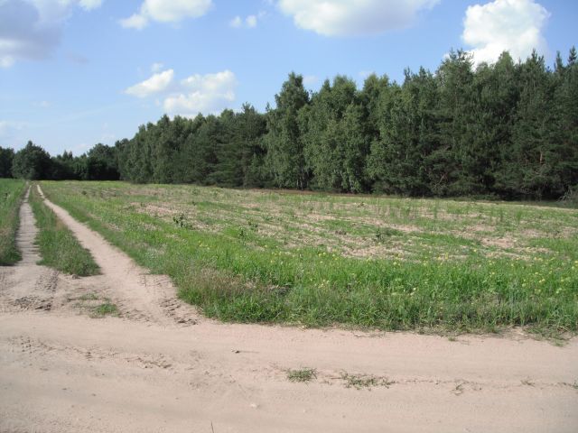 Działka rolno-budowlana Nowy Krysk. Zdjęcie 1