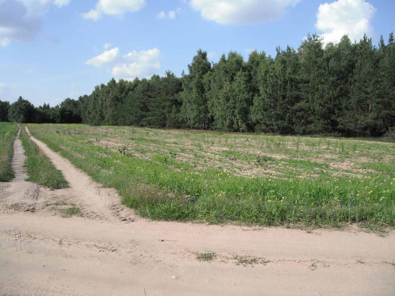 Działka rolno-budowlana Nowy Krysk. Zdjęcie 1