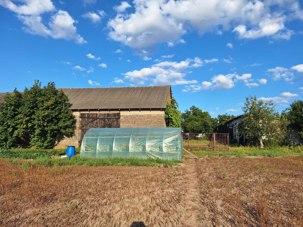 gospodarstwo Łochyńsko. Zdjęcie 5